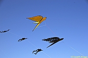 32 FESTIVAL CERVIA 2012 - 075